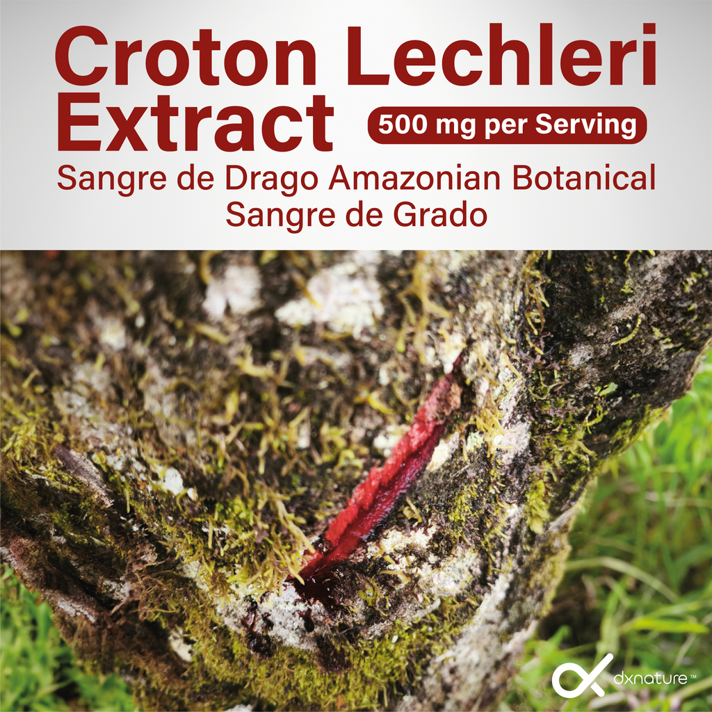 Dragon's Blood Sap / Sangre de Grado 100% Pure Croton Lechleri Extract Wild-Harvested Amazonian Liquid Drops Skin & Immune Support